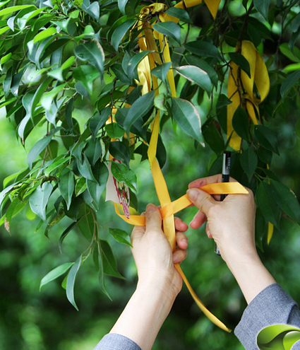 1450331571123126.jpg 綠色生態(tài)葬.jpg